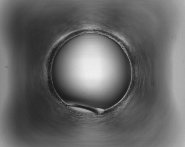 X0000099581311200805301552