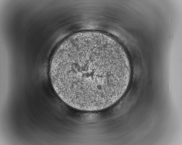 X0000099581314200805301552