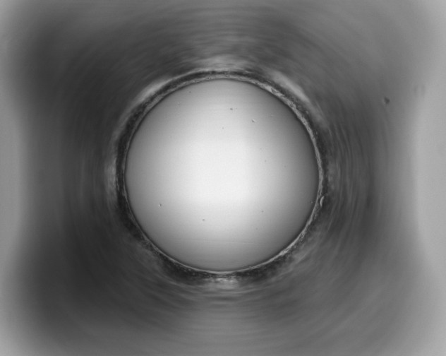 X0000099581315200805301552