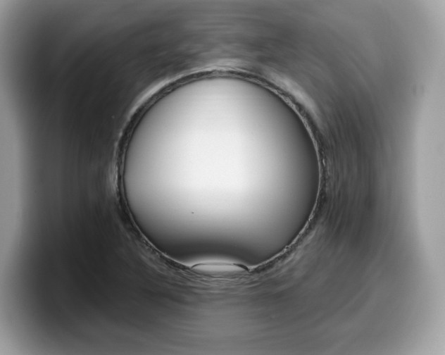 X0000099581316200805301552