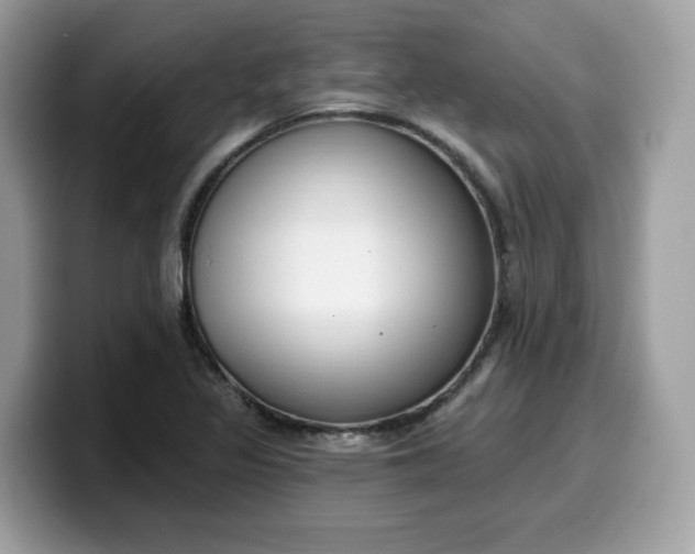 X0000099581317200805301552