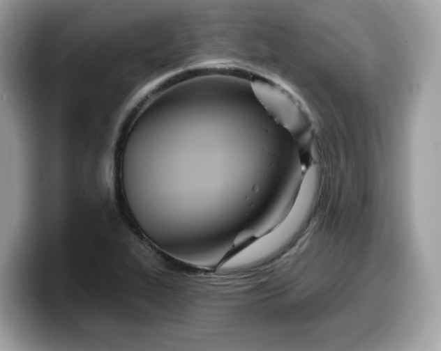 X0000099581319200805301552