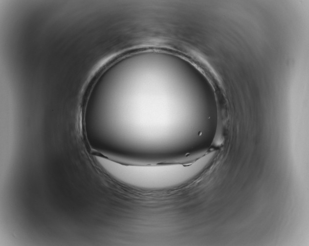 X0000099581320200805301552