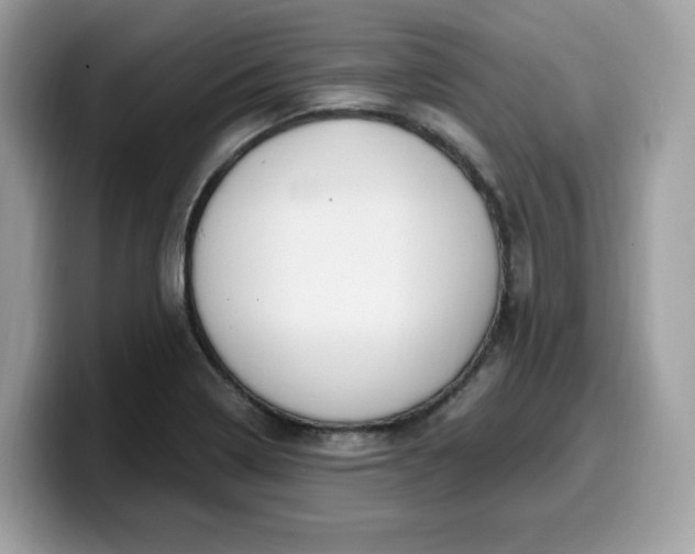 X0000099581322200805301552