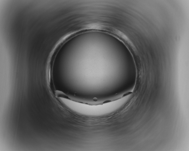 X0000099581323200805301552