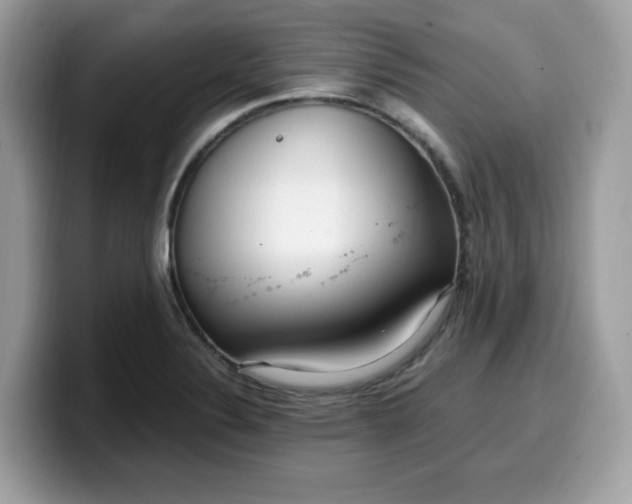 X0000099581324200805301552