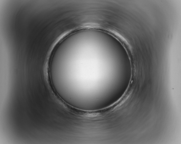 X0000099581325200805301552