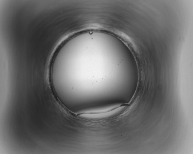 X0000099581326200805301552