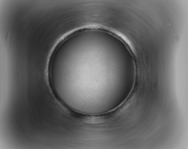 X0000099581327200805301552