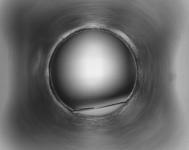 X0000099581335200805301552