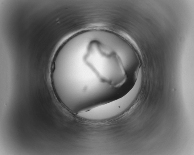 X0000099581336200805301552