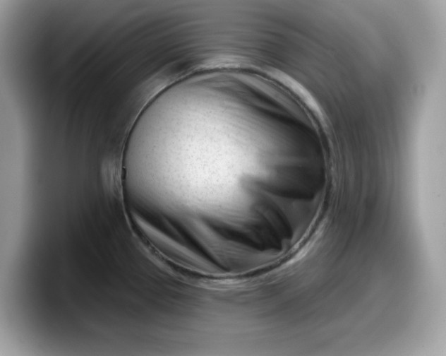 X0000099581337200805301552