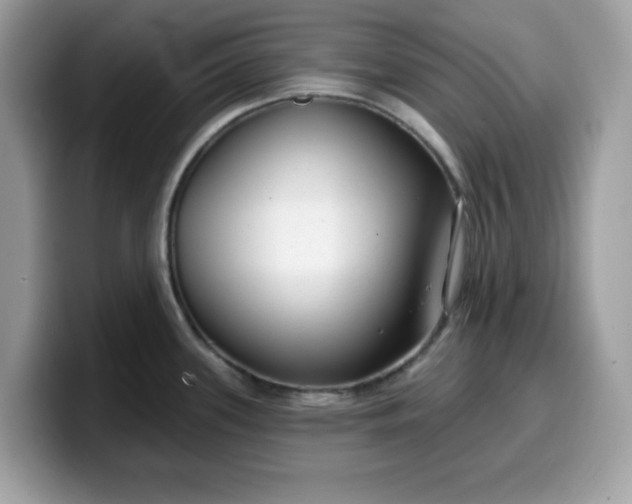 X0000099581339200805301552