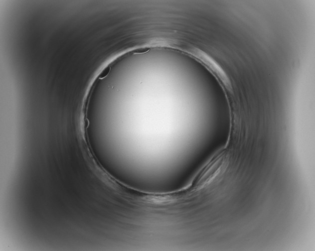 X0000099581340200805301552