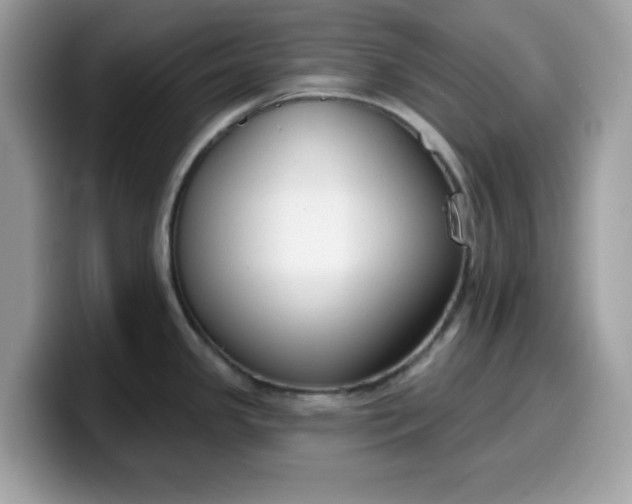 X0000099581341200805301552