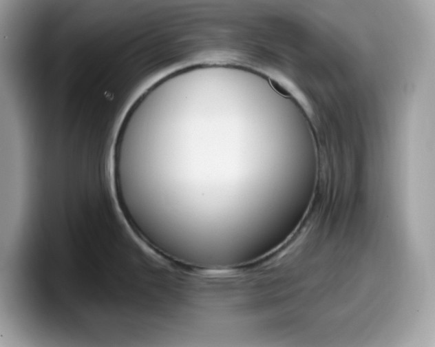 X0000099581343200805301552