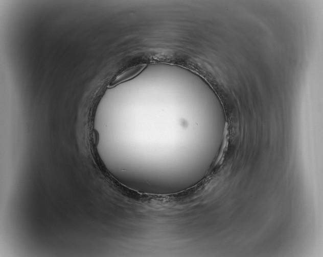 X0000099581345200805301552