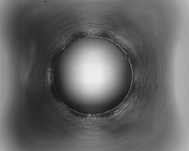 X0000099581346200805301552