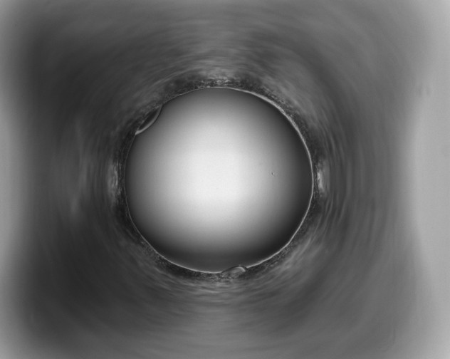 X0000099581347200805301552