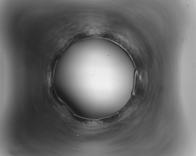 X0000099581348200805301552