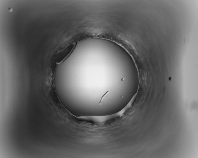 X0000099581349200805301552