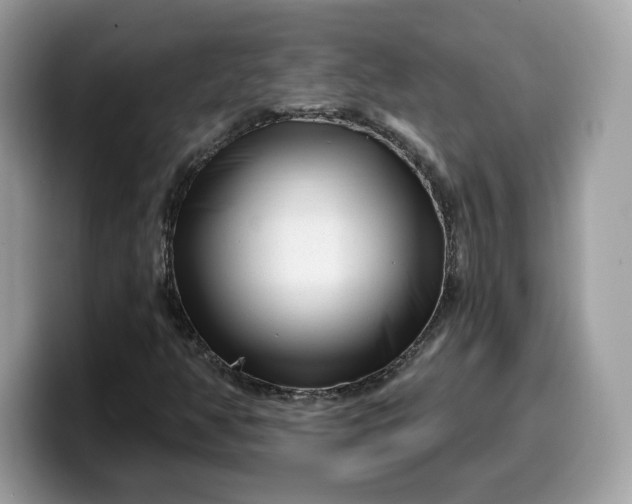 X0000099581350200805301552