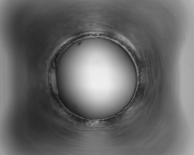 X0000099581352200805301552