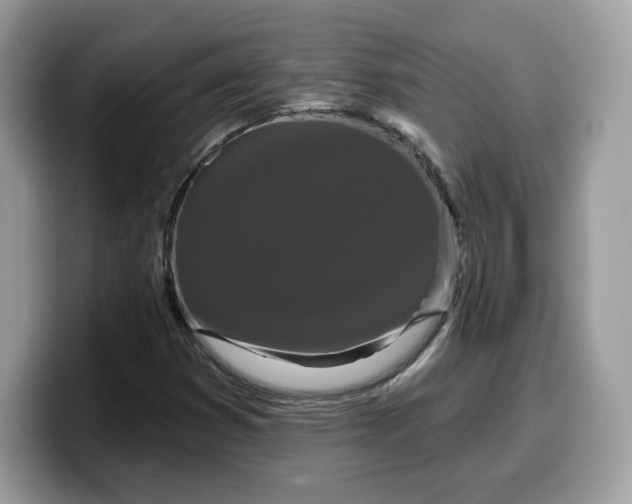 X0000099581353200805301552