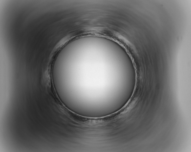 X0000099581354200805301552