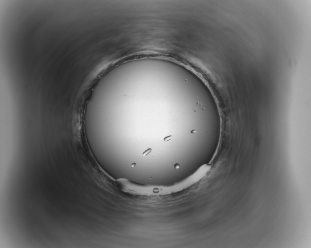 X0000099581355200805301552