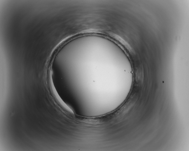 X0000099581356200805301552