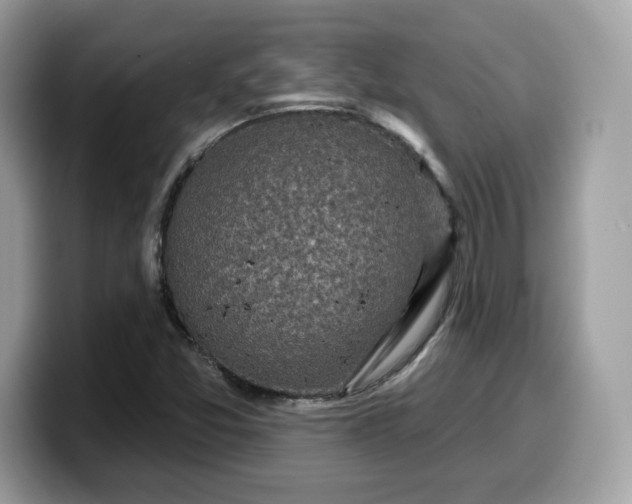 X0000099581357200805301552