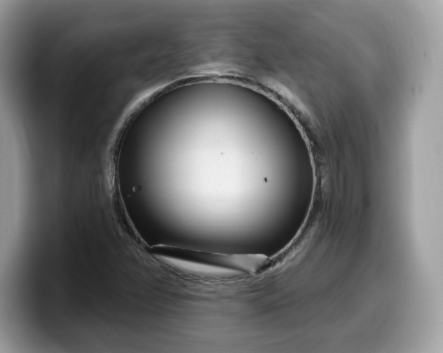 X0000099581358200805301552