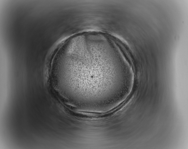 X0000099581359200805301551