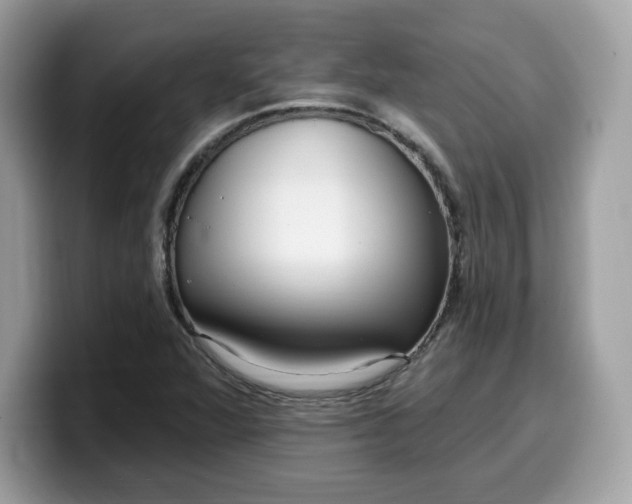 X0000099581360200805301551