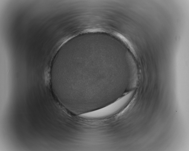 X0000099581361200805301551