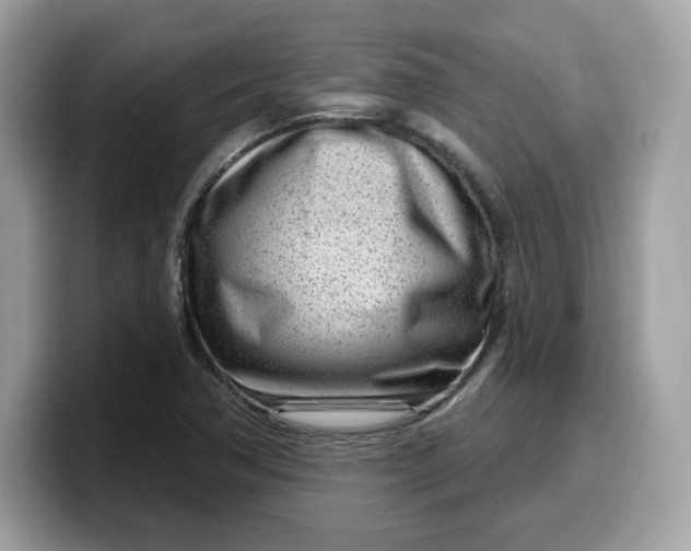 X0000099581362200805301551