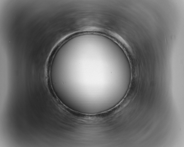 X0000099581364200805301551