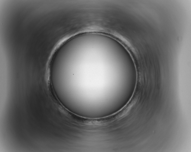 X0000099581366200805301551