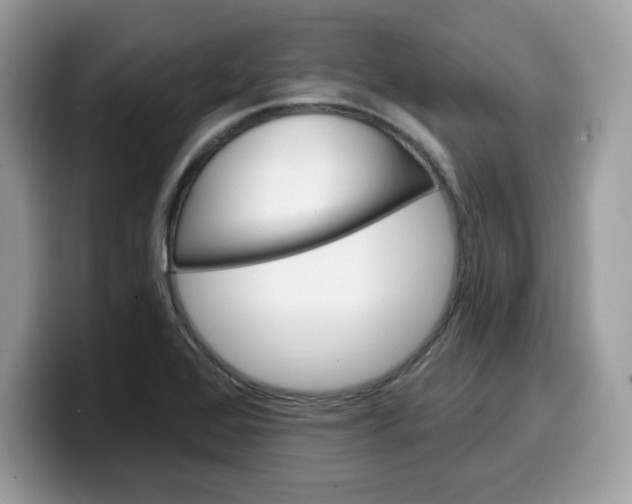 X0000099581368200805301551