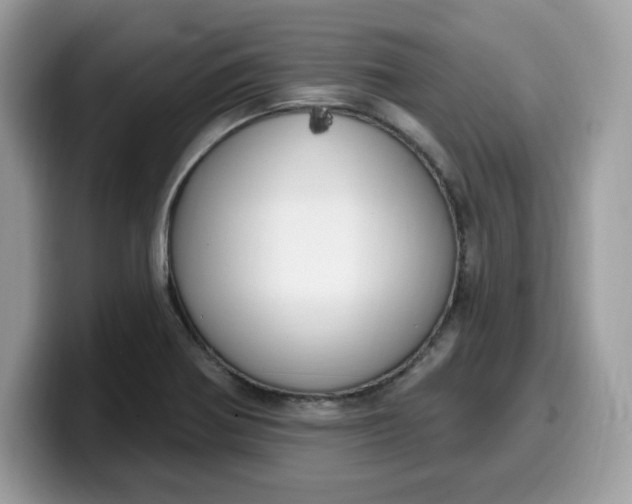 X0000099581370200805301551