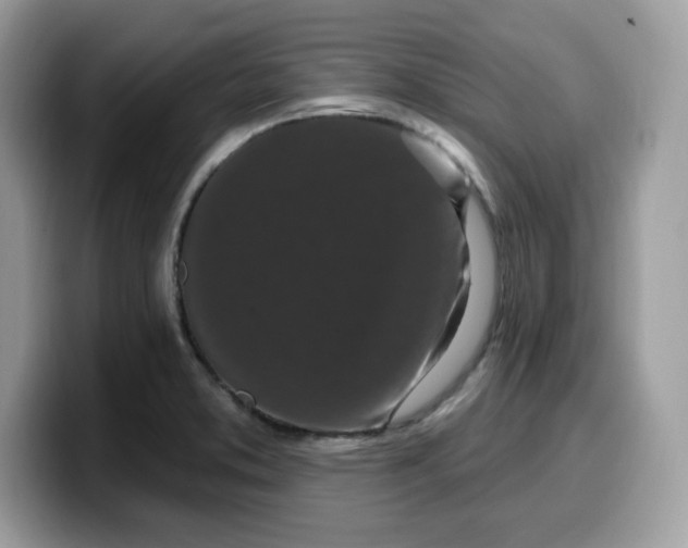 X0000099581373200805301551