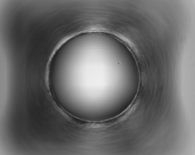 X0000099581374200805301551