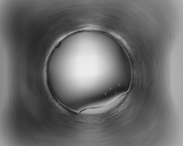 X0000099581375200805301551