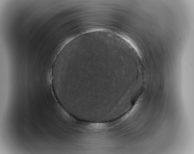 X0000099581377200805301551