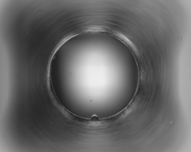 X0000099581378200805301551