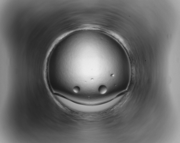 X0000099581379200805301551