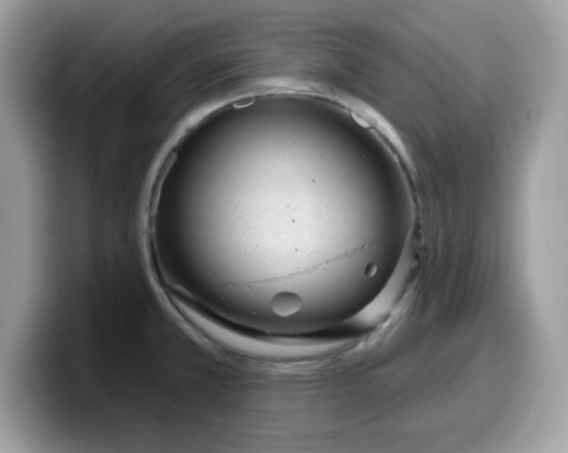 X0000099581381200805301551