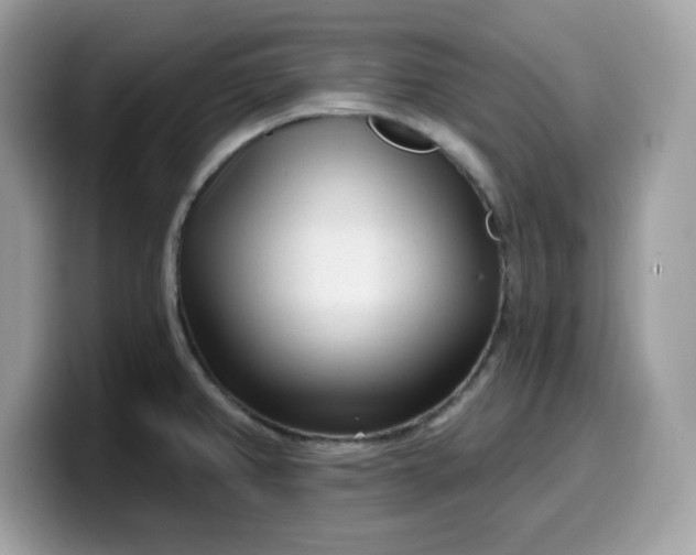 X0000099581382200805301551