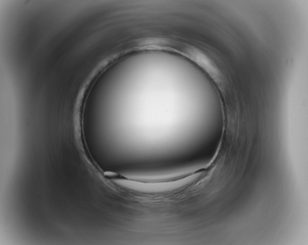 X0000099581384200805301551